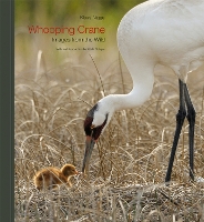 Whooping Crane: Images from the Wild (Hardback)