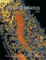Invertebrates (Hardback)