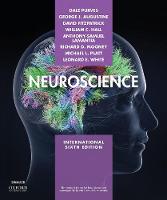 Neuroscience (Paperback)