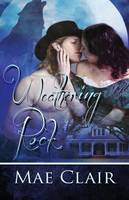 Weathering Rock (Paperback)