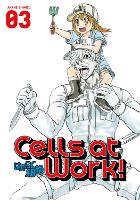 Cells At Work! 3 (Paperback)