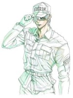 Cells At Work! 6 (Paperback)