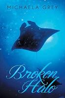Broken Halo (Paperback)