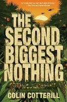 The Second Biggest Nothing (Paperback)
