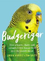 Budgerigar (Paperback)