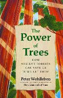 The Power of Trees