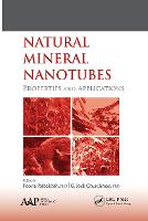 Natural Mineral Nanotubes: Properties and Applications (Paperback)