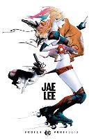 DC Poster Portfolio: Jae Lee (Paperback)