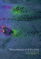 The Luminous and the Grey (Paperback)