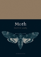 Moth - Animal (Paperback)