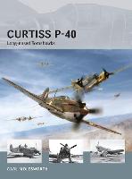 Curtiss P-40: Long-nosed Tomahawks - Air Vanguard (Paperback)
