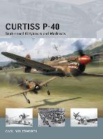 Curtiss P-40: Snub-nosed Kittyhawks and Warhawks - Air Vanguard (Paperback)