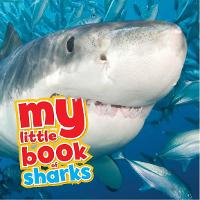 My Little Book of Sharks - My Little Book Of (Hardback)