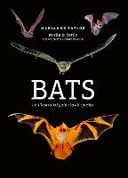 Bats: An illustrated guide to all species (Hardback)