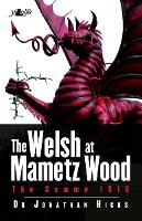 Welsh Of Mametz Wood The Somme 1916
