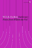 Darkwater: Voices from Within the Veil - Radical Thinkers Set 13 (Paperback)