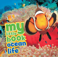 My Little Book of Ocean Life (Hardback)