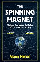 The Spinning Magnet: The Force That Created the Modern World - and Could Destroy It (Hardback)