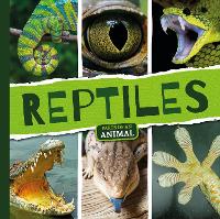 Reptiles - Parts of an Animal (Hardback)