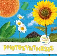 Photosynthesis - What Living Things Eat (Hardback)