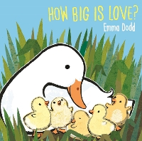 How Big Is Love? (Hardback)