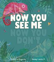 Now You See Me, Now You Don't (Hardback)