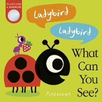 Ladybird! Ladybird! What Can You See? - What Can You See? 3 (Board book)