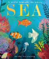 Sea: A World Beneath the Waves (Board book)