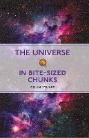 The Universe in Bite-sized Chunks - Bite-Sized Chunks (Paperback)