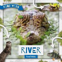 River Food Webs - Food Webs (Paperback)