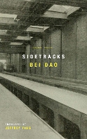 Sidetracks (Paperback)