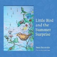 Little Bird and the Summer Surprise (Paperback)