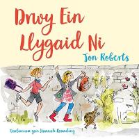 Drwy ein Llygaid Ni (Paperback)