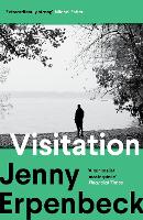 Visitation (Paperback)