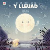Y Noson Ddiflannodd y Lleuad / The Night the Moon Went Missing (Paperback)