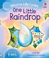 One Little Raindrop - Life Cycles (Board book)