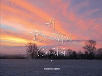 A Beautiful Creation (Hardback)