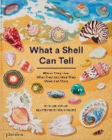 What A Shell Can Tell (Hardback)