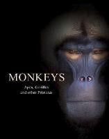 Monkeys: Apes, Gorillas and other Primates - Animals (Hardback)