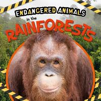 In the Rainforests - Endangered Animals (Hardback)
