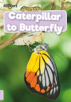 Caterpillar to Butterfly - BookLife Non-Fiction Readers (Paperback)