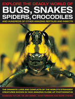 Explore the Deadly World of Bugs, Snakes, Spiders, Crocodiles (Paperback)