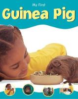 Guinea Pig - My First Pet S. (Paperback)
