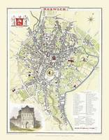 Cole and Roper Map of Norwich 1807: Colour Print of City of Norwich Plan 1807 by Cole and Roper (Sheet map, flat)