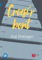 Cyfres Amdani: Croesi'r Bont