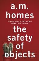 The Safety Of Objects (Paperback)