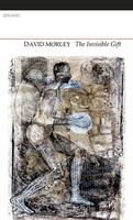 Invisible Gift (Paperback)