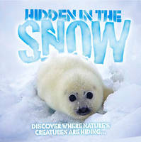 Hidden in the Snow - Hidden in the... (Paperback)