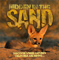 Hidden in the Sand - Hidden in the... (Paperback)