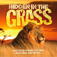 Hidden in the Grass - Hidden in the... (Paperback)